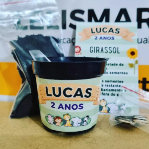 KIT JARDINAGEM - GIRASSOL Diversos  4x0   